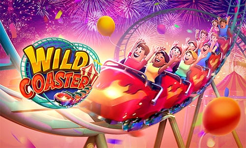 Wild Coaster