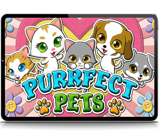 Purrfect Pets